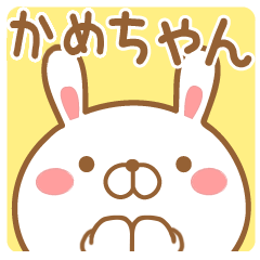 かめちゃんが使う名前スタンプ