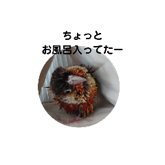 ねぎま  つくね  ぼんじり