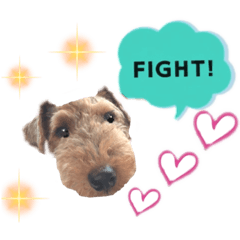 ウェルシュテリア♡ジェリーさんの1日(22)