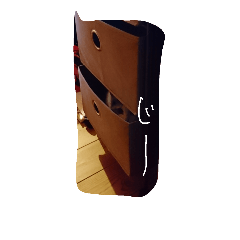 うちの猫・ななちゃん