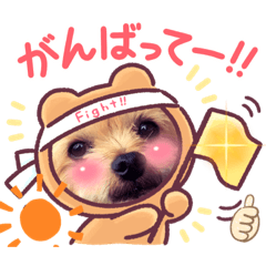 Koharu スタンプ！年末年始にも！