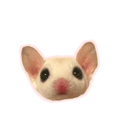 すみっこあにまるず。