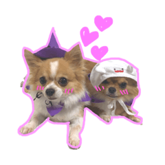 ここちゃんゆうちゃん