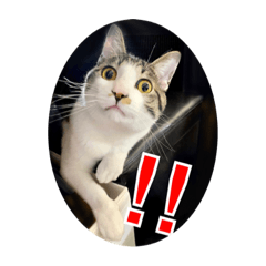 みかげの御影 パート2