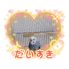 アオちゃんとかのんさん