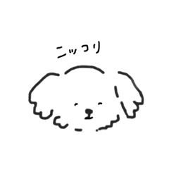 しろいいぬの顔スタンプ