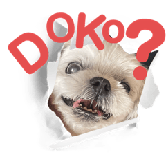 僕のことかまって