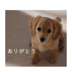 ミルキィのスタンプ。