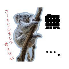 アニマルな日常(猫多め)