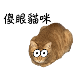 Emily_20230508201858