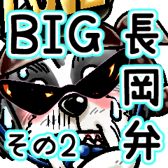 ワイルドシーズーpart7.1   ☆長岡弁BIG②