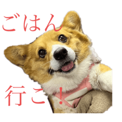 はなちゃんと！