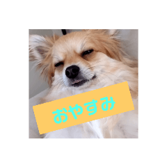 てんちゃんの八つのスタンプ