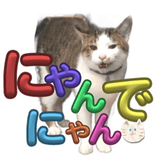 クロとダイゆる〜い岩船弁の日常