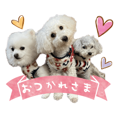 モコ・ハル・スズのスタンプ【修正版】