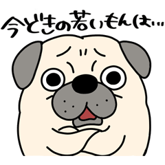 パグのおっちゃん