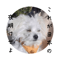 ふくちゃんのスタンプ第2弾