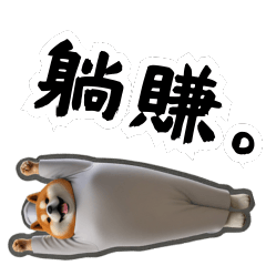 Chef Shiba's Daily Delights 2