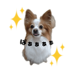 可愛い犬のすたんぷです