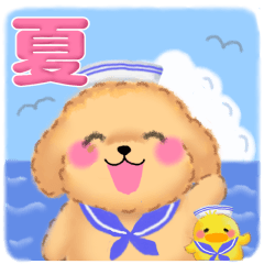 かわいいトイプードル❤️夏3