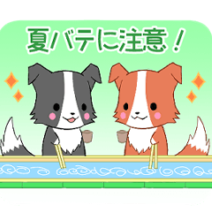 ちびボーダー15【夏】