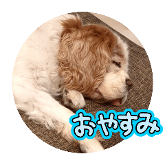 ちょいクセなスタンプ