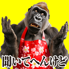 関西弁ゴリラ【家族連絡】