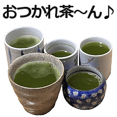 実写！緑茶