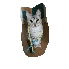 オシキャットのどらちゃん