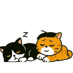 Fat Orange and Mercedes Cat