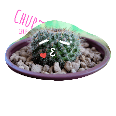 cactus.cactus