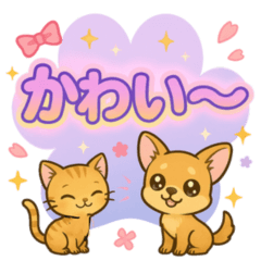 Part2 気持ちを届ける肉球便