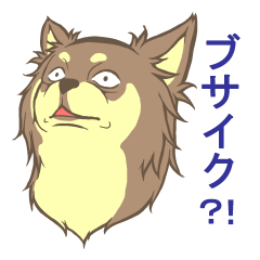 ぶさチワワ