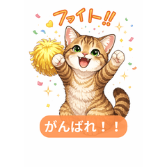 Cute Cat Reactions Tiger Tabby