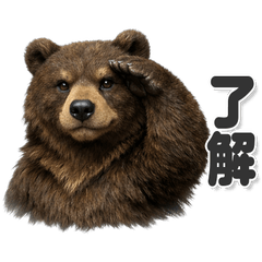 毎日使える！ クマ