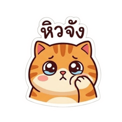 April  Friday (The Kind Orange Cat )