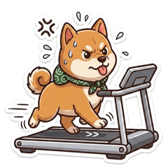 柴犬子犬の筋トレに挑戦！