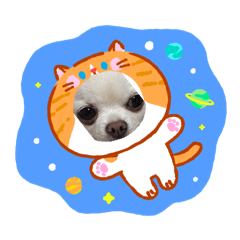 ノアの元気スタンプ