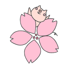 春がきた♡ キムさん家のブタさん / 韓国語