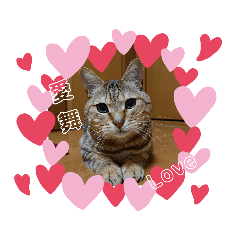 キジミックス♡愛舞(いぶ)くん