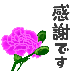 花シリーズ 第三弾『日常会話』