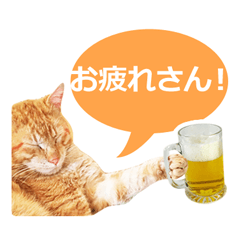 茶トラのニャン太＆三毛猫スタンプ