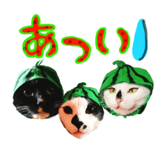 淡路ワンニャンFriend.3