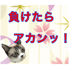 ミルク姐さんの大阪弁