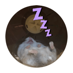 ハムスターのためのスタンプ