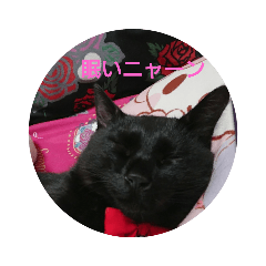 黒猫のジジくん