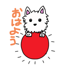 うちのウエスティ