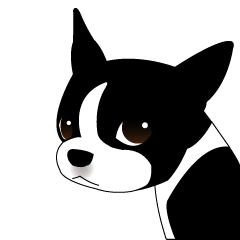 ボストンテリア