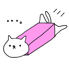 いつもの白にゃんこ