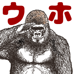 ゴリラです。ベスト